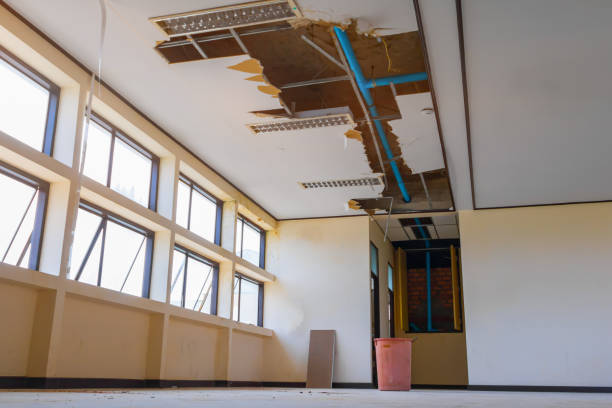 Best Commercial water damage restoration  in St Pauls, NC