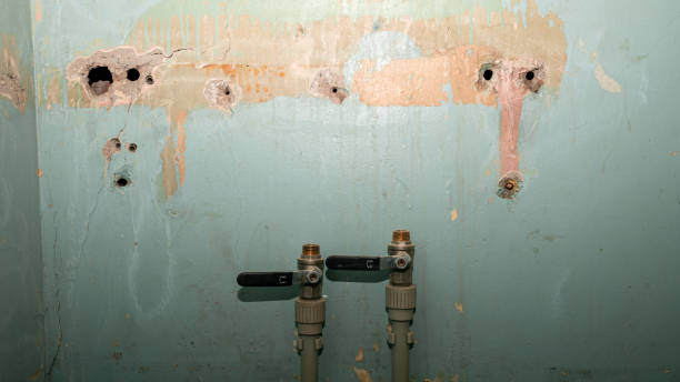  St Pauls, NC Water damage restoration Pros