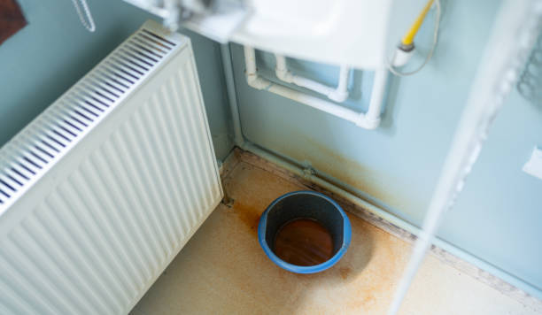 Best Water damage restoration near me  in St Pauls, NC